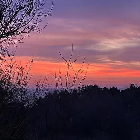 מלון דירות Teracite